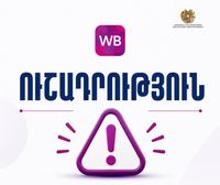 «Վայլդբերրիզ» էլեկտրոնային առևտրային հարթակում գործունեություն իրականացնելու վերաբերյալ